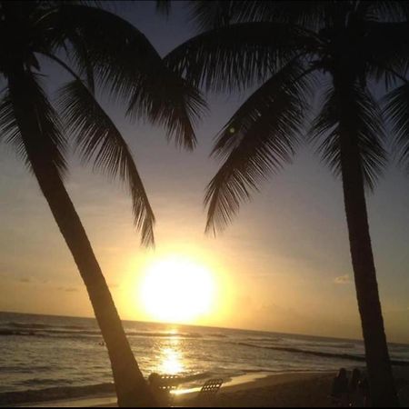 Westmoreland Hills - Mount Standfast - St James - Full Gym Membership Saint James Exteriör bild