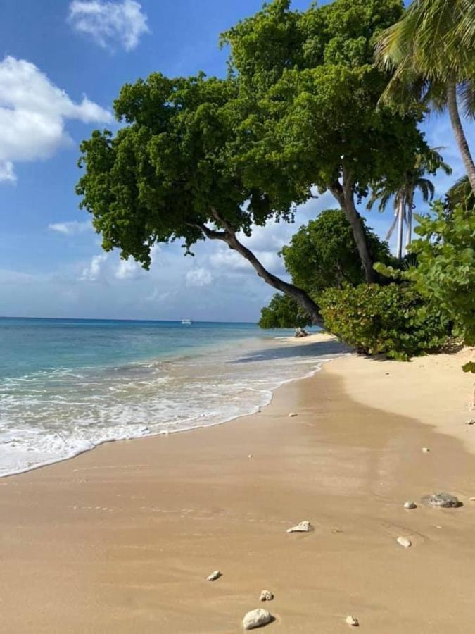 Westmoreland Hills - Mount Standfast - St James - Full Gym Membership Saint James Exteriör bild