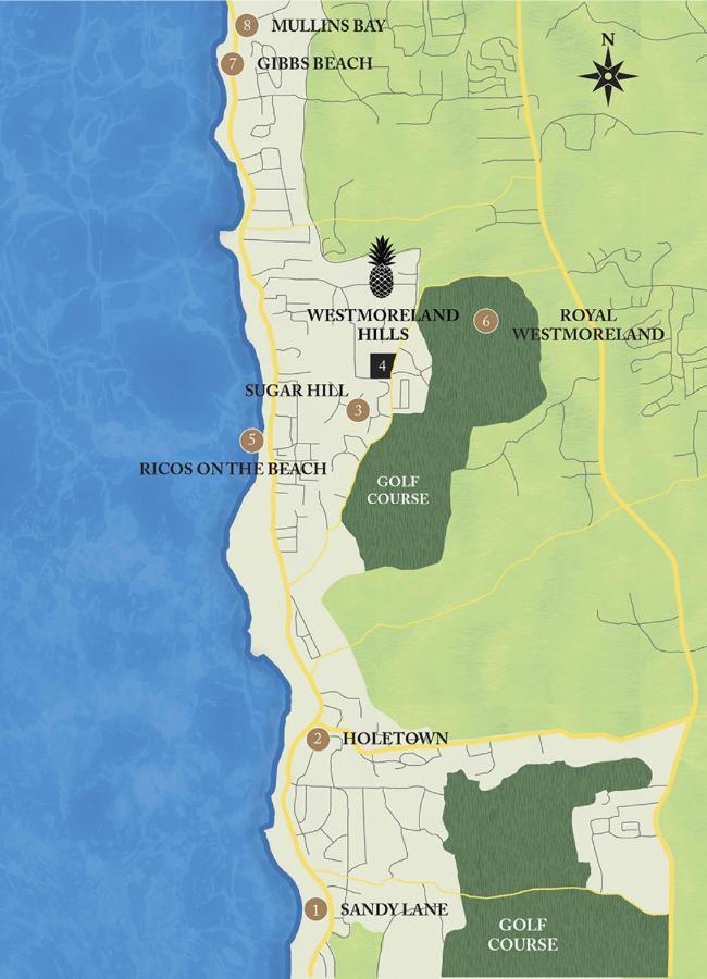 Westmoreland Hills - Mount Standfast - St James - Full Gym Membership Saint James Exteriör bild