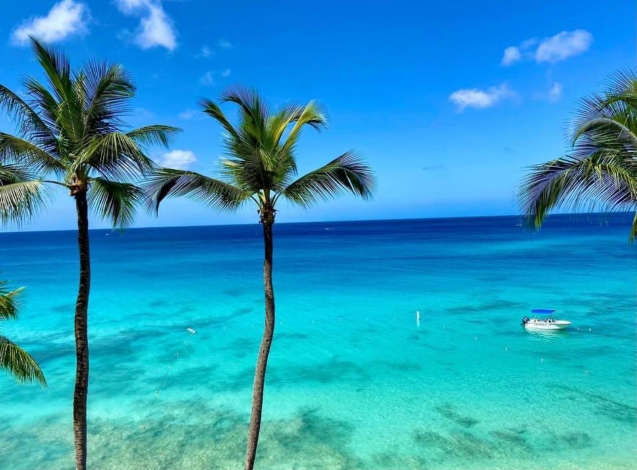 Westmoreland Hills - Mount Standfast - St James - Full Gym Membership Saint James Exteriör bild